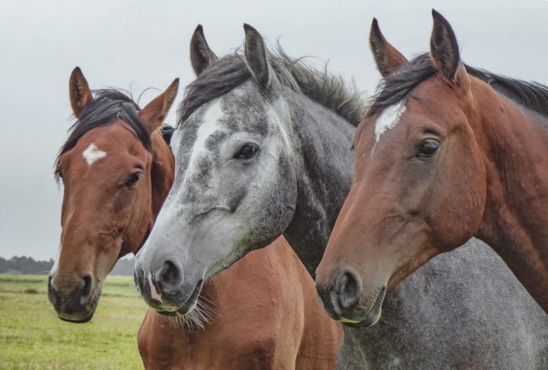 Yered Trailers for sale in Medfield, MA slide 3