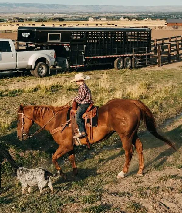 Yered Trailers horse